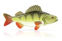 морски плодови за панкреатитис